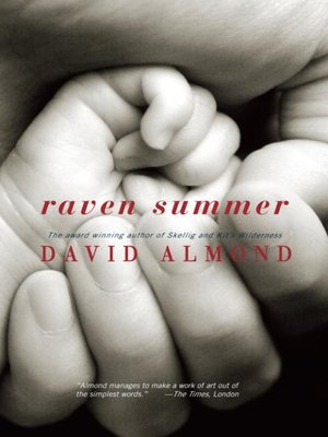 cover image of Raven Summer